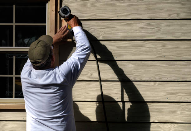 Best Vinyl Siding Installation  in Alba, NY