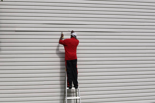 Best Wood Siding Installation  in Alba, NY